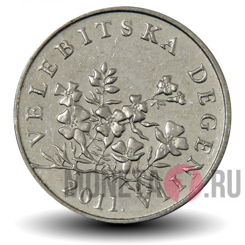 50 лип 2011 года - Хорватия - Дегения велебитская