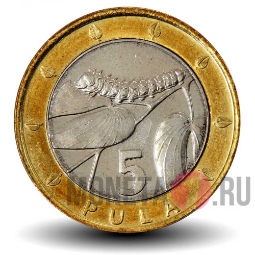 5 пула 2007 года - Ботсвана - Гусеница