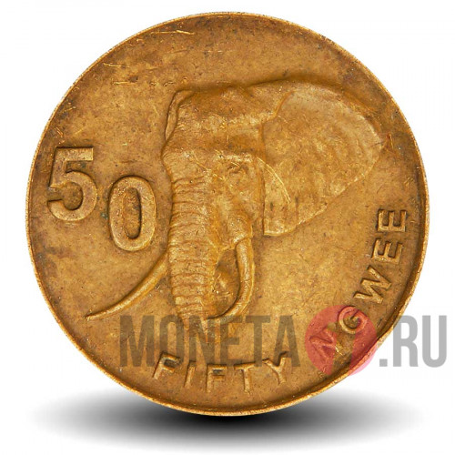50 нгве 2014 года - Замби