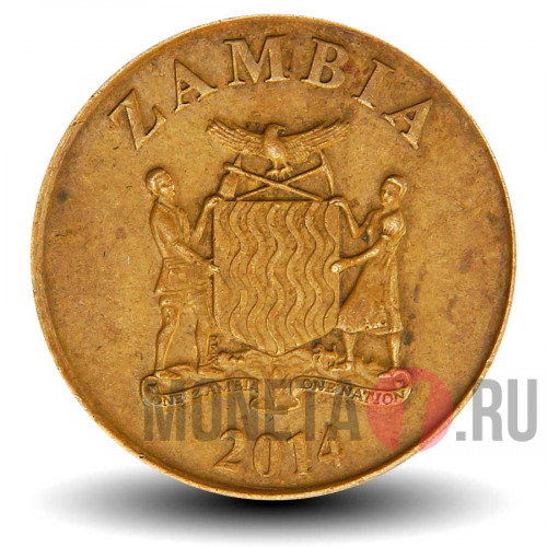 50 нгве 2014 года - Замби