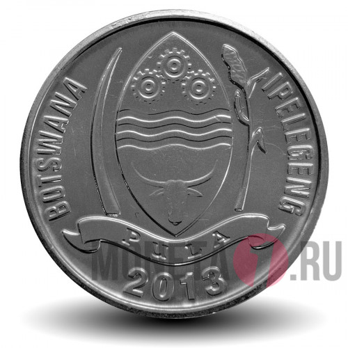 10 тхебе 2013 года - Ботсвана - Сернобык