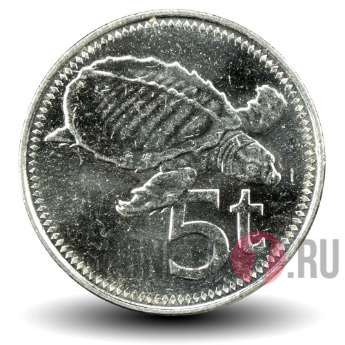 5 тойя 2009 года - Папуа - Новая Гвинея - Двухкоготная черепаха