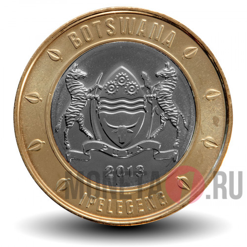5 пула 2013 года - Ботсвана - Гусеница