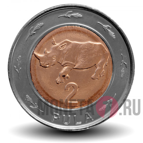 2 пула 2013 года - Ботсвана - Носорог