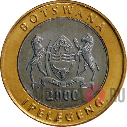 5 пула 2000 года - Ботсвана