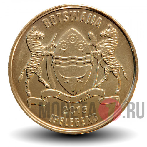 1 пула 2013 года - Ботсвана - Зебра