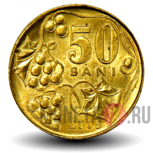 50 баней 2008 года - Молдова- Виноград - XF