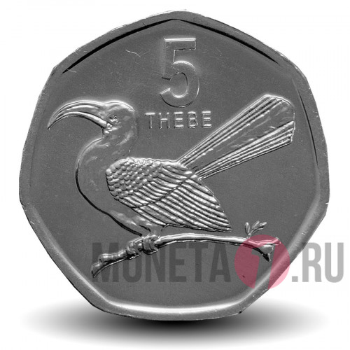5 тхебе 2013 года - Ботсвана - Птица-носорог