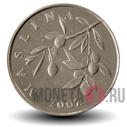 20 лип 2007 года - Хорватия - Олива европейская