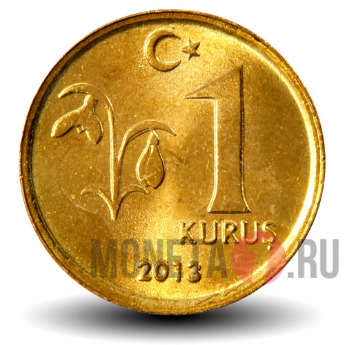 1 куруш 2013 года - Турция