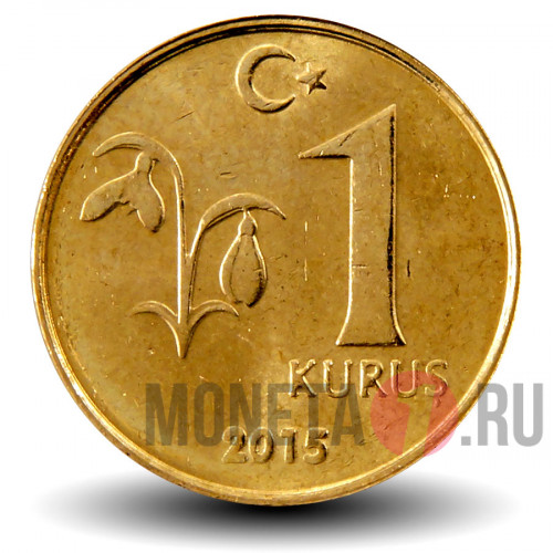 1 куруш 2015 года - Турция