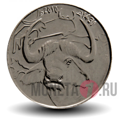 1 динар 2010 год - Африканский буйвол - Алжир