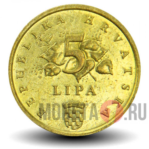 5 лип 2015 года - Хорватия - Дуб черешчатый