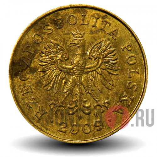 5 грошей 2009 года - Польша