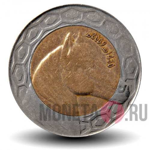 100 динаров 2009 года - Алжир - Арабская лошадь