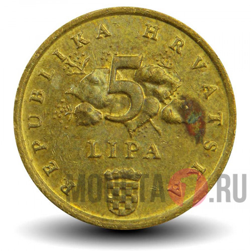 5 лип 2011 года - Хорватия - Дуб черешчатый