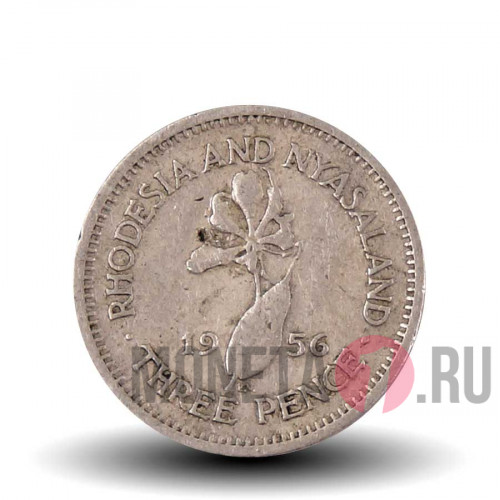3 пенса 1956 года - Родезия и Ньясалэнд - Елизавета II