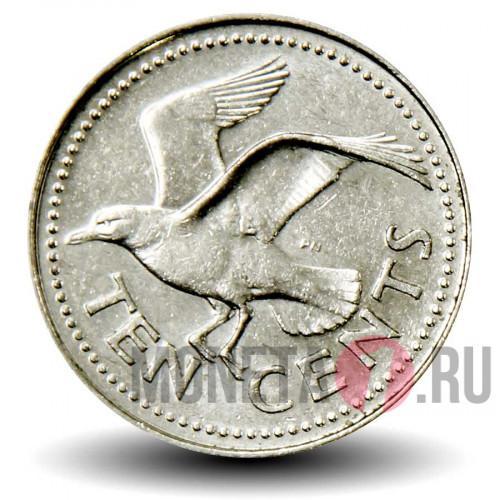 10 центов 1990 года - Барбадос - Морская ласточка