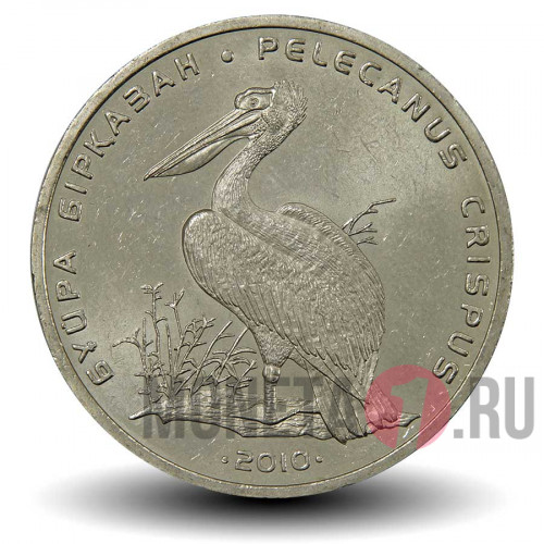 50 тенге 2010 года - Кудрявый пеликан - Казахстан