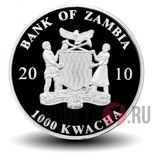 1000 квача 2010 года - Паук черная вдова - Замбия