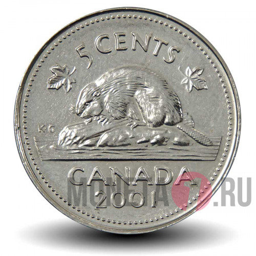 5 центов 2001 года - Канада - Бобр