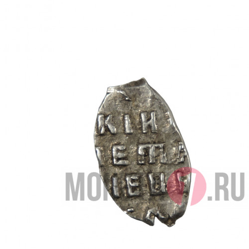 1 копейка 1698-1718 гг - Царская Россия - Петр I - чешуйка (8)