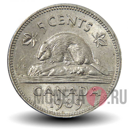 5 центов 1989 года - Канада - Бобр