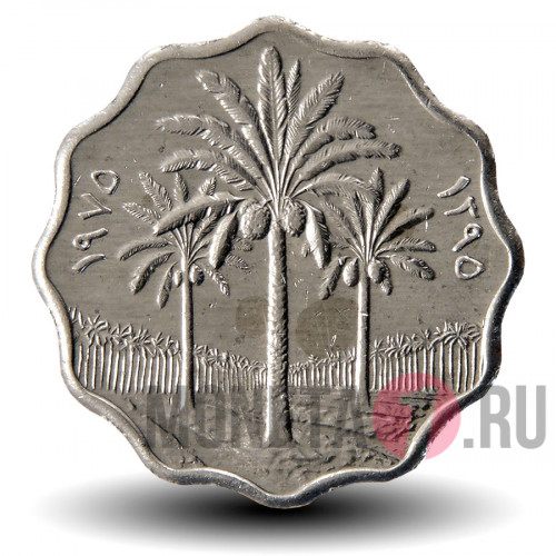 5 филсов 1975 года - Ирак - Пальмы