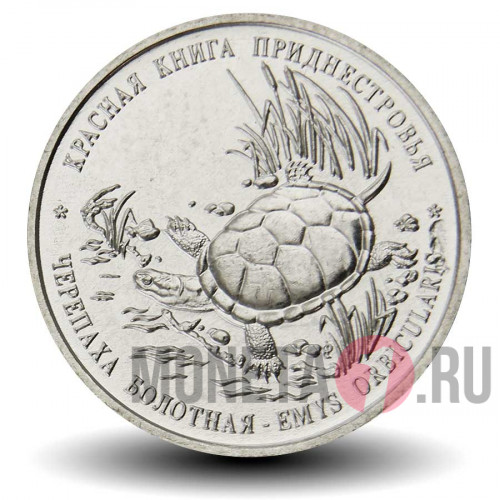 1 рубль 2018 года - Черепаха болотная - Приднестровье